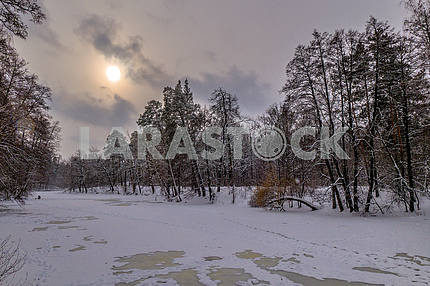 Зима в парке Пуща Водица