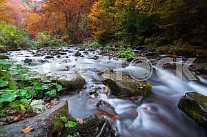 Autumn landscape