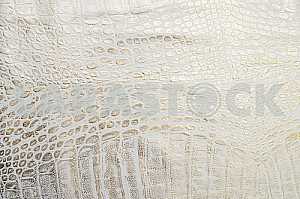 Wood texture with natural pattern