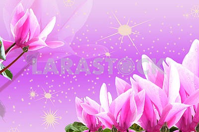 3d illustration, pink and purple background, sparkles, pink lilies, water droplets on buds