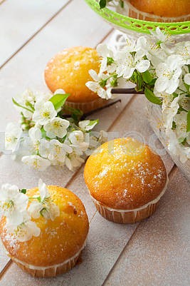 Golden muffins with cherriy flowers on shabby table