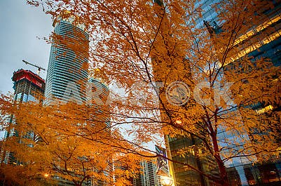 Autumn Toronto