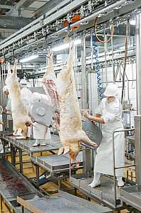 Meat processing