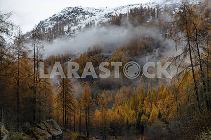 Autumn landscape in the Alps