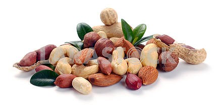 set of nuts on a white background