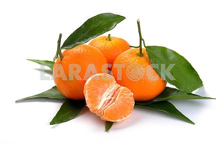 clementines with segments
