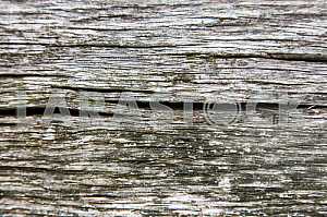 wood texture with nature pattern