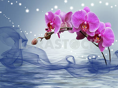 Lilac long orchid in water on a blue background