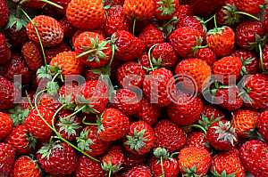 Strawberry - full frame