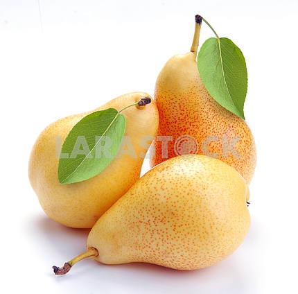 Pears and leaves