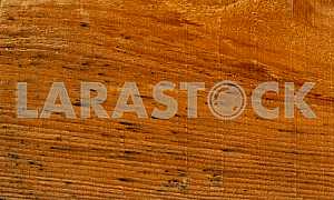Wood texture with natural pattern