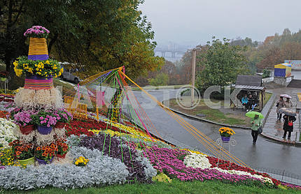 Exhibition of chrysanthemums "Melody of Autumn"