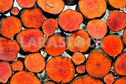 Живописный состав дров