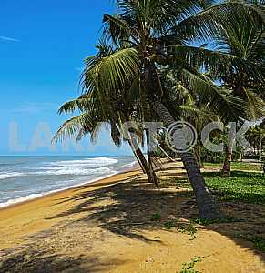 Пляжи в Шри-Ланке