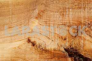 Wood texture with natural pattern