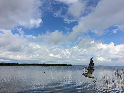 The islands of Saaremaa and Muhu