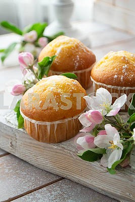 Tasty vanilla cupcakes with sugar powder. Close up view. Cupcakes in blooming trees.