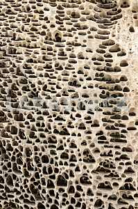 The texture of the stone