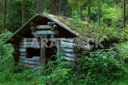 Thrown a log hut in wood