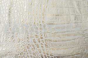 Wood texture with natural pattern