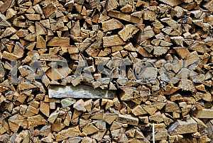 Dry firewood in a pile