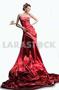 Image #9627