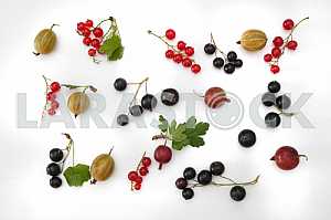 Gooseberry, red currant and black currant on a white background