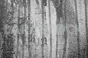 Fragment of grafiti on a concrete wall.Abstract background.