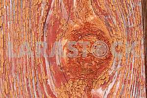 Wood texture with natural pattern