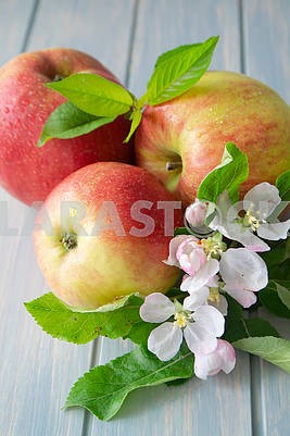 Ripe apples with leaf and flowers close up, vertical image
