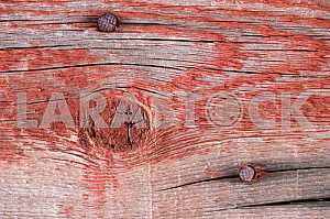 Wood texture with natural pattern