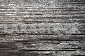 Wood texture with nature pattern