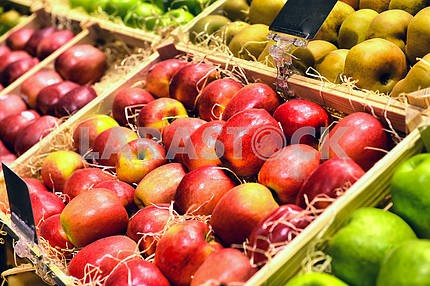 Red and green apple fruits