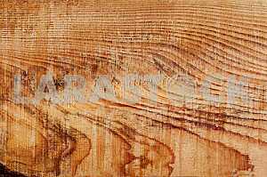 Wood texture with natural pattern
