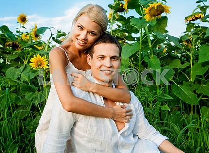 любящей пары в поле подсолнухов