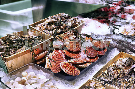 Showcase of seafood