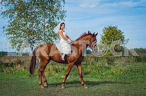 Brown-haired woman on a horse, in wedding dress, forest and blue sky on the background