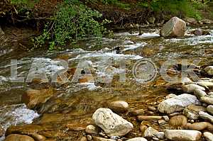 Mountain river Lyutyanka in the Transcarpathian region