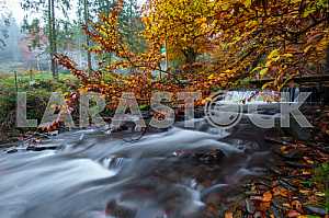 Autumn landscape