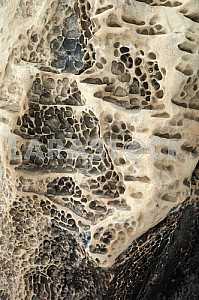 The texture of the stone