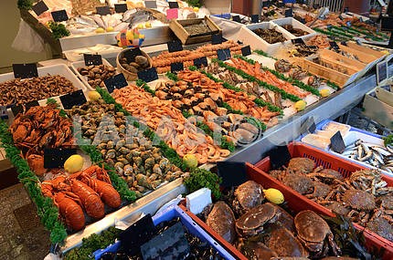 Show-window of seafood