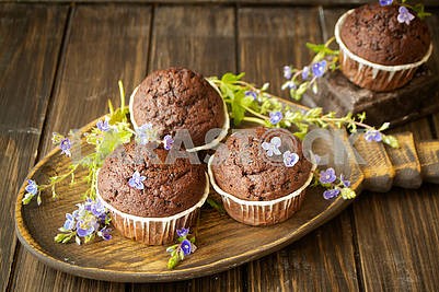 Chocolate muffins with blue spring flowers on dark backgroun
