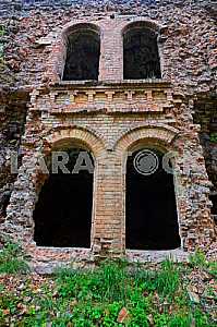 Fort Cockroaches