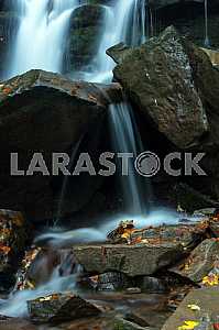 Autumn landscape