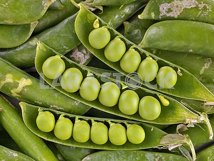 Green peas in pod