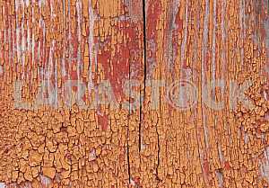 Wood texture with natural pattern