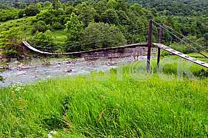 Suspension bridge