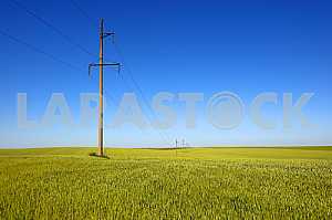 High-voltage power lines