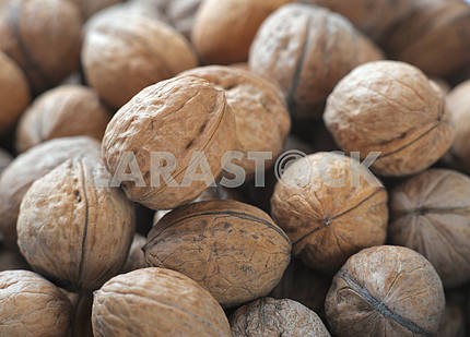 Heap of ripe walnuts