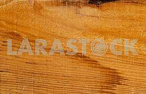 Wood texture with natural pattern
